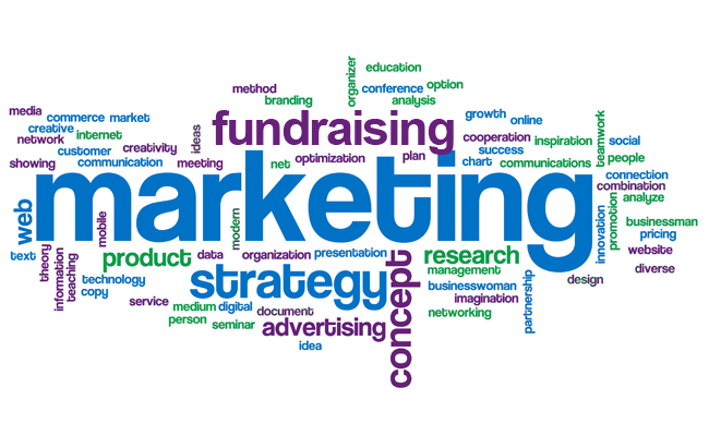 rallying support marketing communications fundraising Excel Fundraising consulting